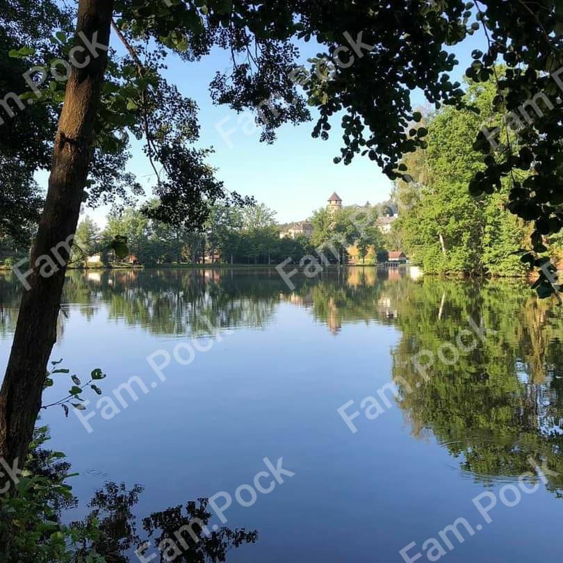 Ferienhaus Moerterteich Villa Litschau Dış mekan fotoğraf